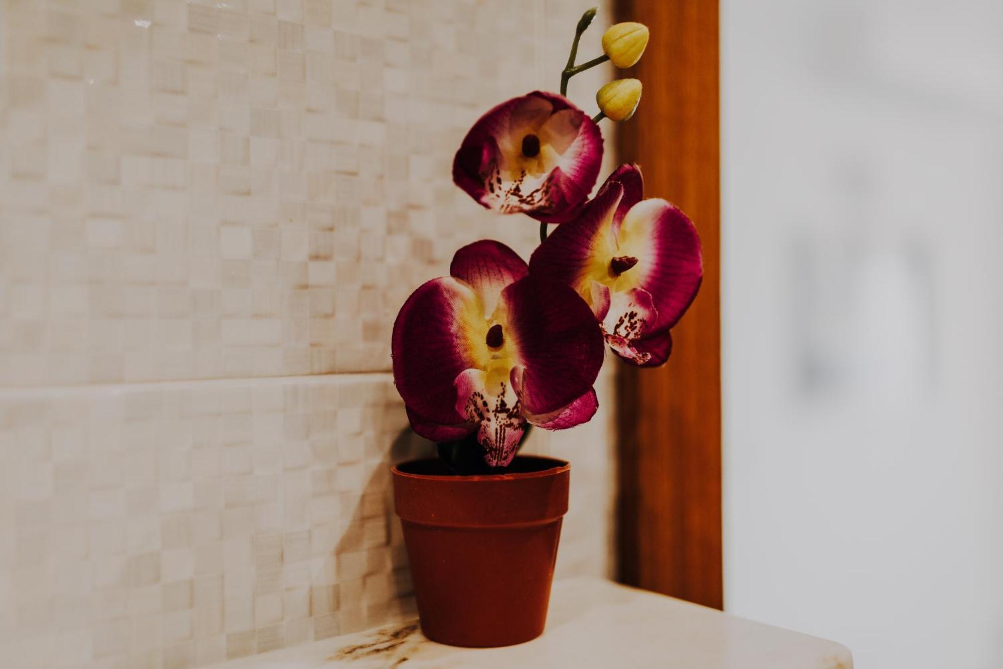 Apartamentos Sol & Ria オリョン エクステリア 写真